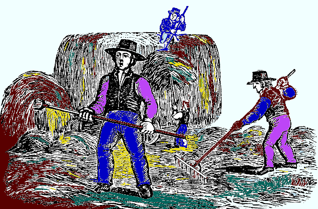 make hay of your pain