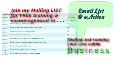 finding and running your own online business